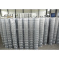 galvanized Welded wire mesh